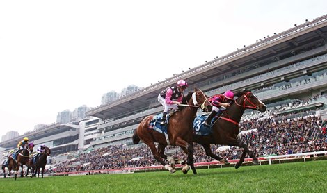 The John Size-trained Waikuku, ridden by Joao Moreira, wins the G1 Stewards’ Cup (1600m), the first leg of the Hong Kong Triple Crown, at Sha Tin Racecourse today.