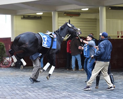 Independence Hall wins the 2020 Jerome at Aqueduct               