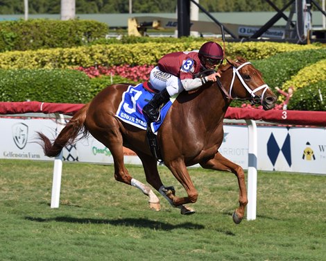 Atomic Blonde wins the 2020 South Beach Stakes at Gulfstream Park