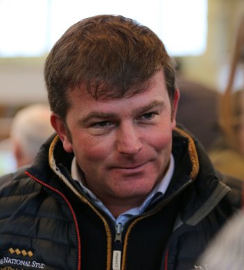 Tattersalls February Sale 30/01/20 