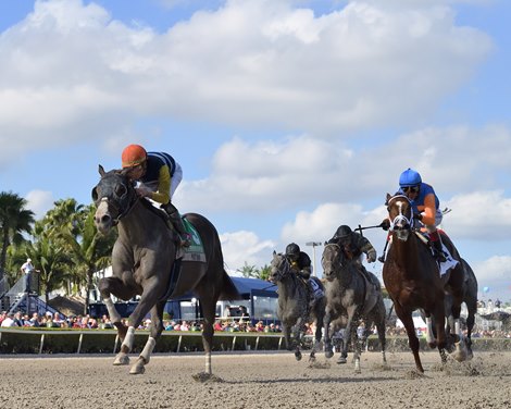 Phat Man wins the 2020 Fred W. Hooper Stakes at Gulfstream Park