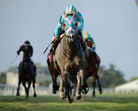 Tusk wins the 2020 Tropical Turf Stakes at Gulfstream Park               