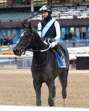 Independence Hall wins the 2020 Jerome at Aqueduct