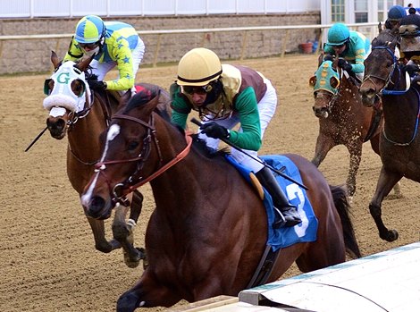 Alwaysmining wins the 2020 Jennings Stakes at Laurel Park