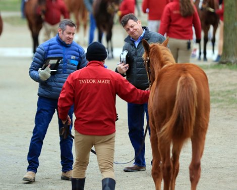 Jamie Hill, Mike McMahon, Scenics, 2020 Keeneland January Sale