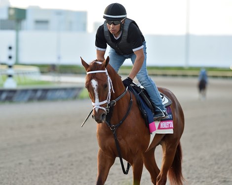 Henley&#39;s Joy - Morning - Gulfstream Park - 011920