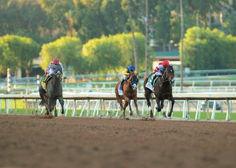 Omaha Beach wins the 2019 Malibu Stakes, G1, Santa Anita Park, December, 28, 2019