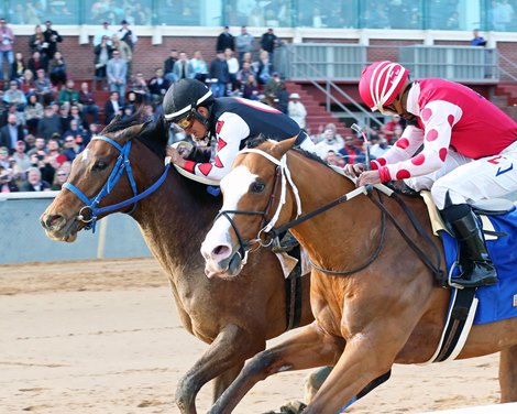 Guest Suite wins 2020 Fifth Season Stakes at Oaklawn Park