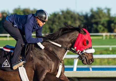 Spun to Run - Morning - Palm Meadows - 010520