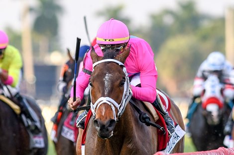 Zulu Alpha wins the G1 Pegasus World Cup Turf,  Tyler Gaffalione Jockey, Trained By Mike Maker, Gulfstream Park, Hallandale Beach, FL, 1-25-19, Photo by Mathea Kelley 