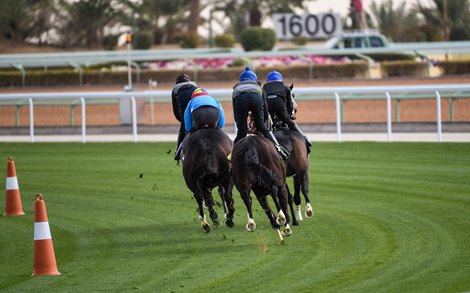 Jockeys take to the Turf<br><br />
Turf Trial at King Abdulaziz Racetrack, Riyadh