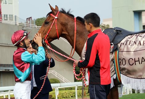 Beat the Clock wins 2020 Centenary Sprint Cup