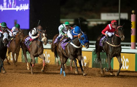 Sibylle Vogt becomes the 2nd  female jockey to win a race in Saudi Arabia after her horse Sabeq’hom won the final leg of the International Jockeys Challenge<br><br />
King Abdulaziz racetrack, Riyadh 28.2.20