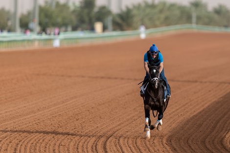 Billy Batts - Morning - King Abdulaziz Racetrack - 022520