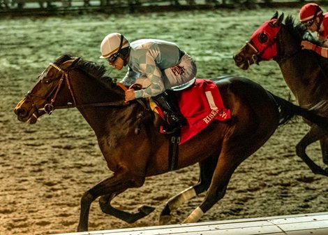 2-15-2020 - Modernist with Junior Alvarado aboard wins the 2nd division of the 48 running of the Grade II Risen Star Stakes at Fair Grounds.  Hodges Photography / Amanda Hodges Weir