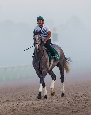 Tacitus - Morning - Payson Park - 021720