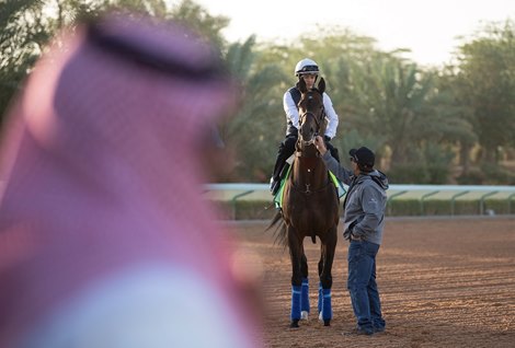 Bob Baffert’s McKinzie walks to the starting gates at the King Abdulaziz racecourse ahead of the inaugral Saudi cup being run on Saturday 29th February