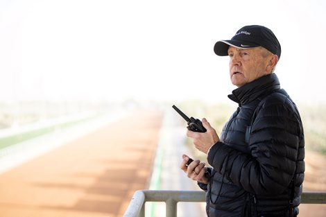 Saudi Cup favourite, Maximum Security is timed by his trainer Jason Servis at King Abdulaziz racecourse in Riyadh 27.2.20