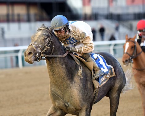 Montauk Traffic wins 2020 Jimmy Winkfield Stakes at Aqueduct Racetrack.