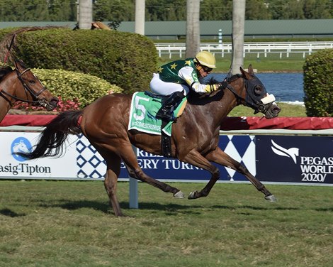 Cheermeister wins the 2020 Herecomesthebride Stakes at Gulfstream Park                     