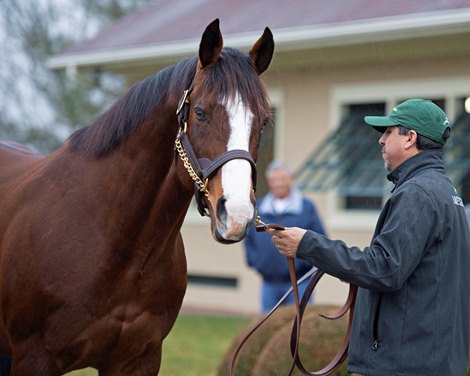 Union Rags at Lane&#39;s End Farm Press Pass 2020 on<br><br />
Feb. 4, 2020 Lane&#39;s End Farm in Versailles, KY. 