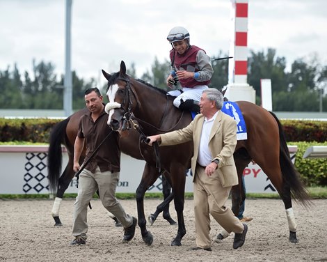 Tiz the Law wins the 2020 Holy Bull Stakes at Gulfstream Park