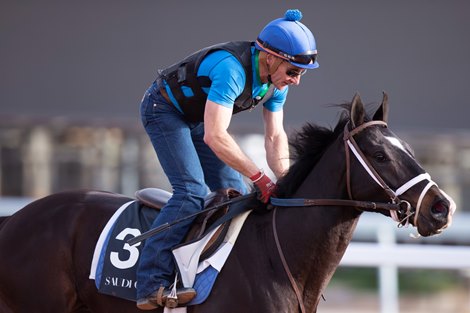 Billy Batts - Morning - King Abdulaziz Racetrack - 022520