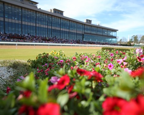 Scenics - Oaklawn Park - 022920