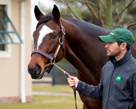 Tonalist Lane&#39;s End Farm Press Pass 2020 on<br><br />
Feb. 4, 2020 Lane&#39;s End Farm in Versailles, KY.