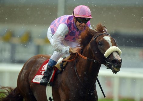 Sans Frontieres and Olivier Peslier in the Irish St. Leger in the driving rain at the Curragh 11.09.2010