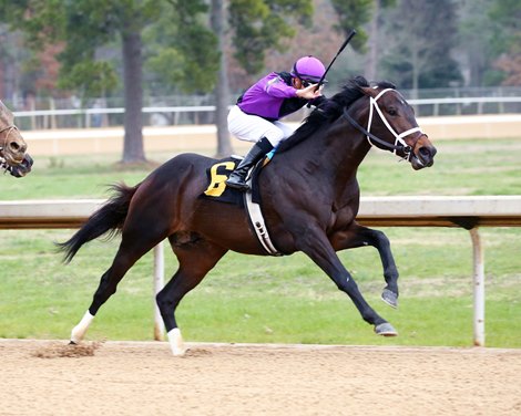 Warrior&#39;s Charge wins 2020 Razorback Handicap at Oaklawn Park