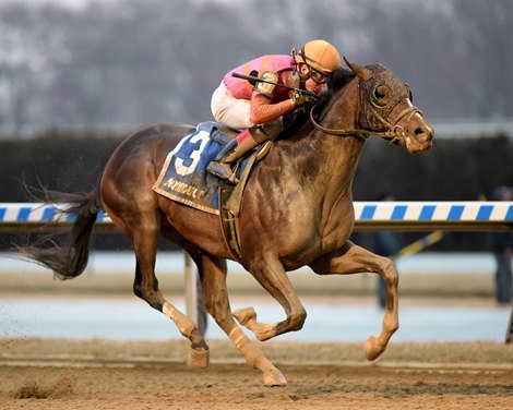 Max Player wins the 2020 Withers Stakes at Aqueduct        