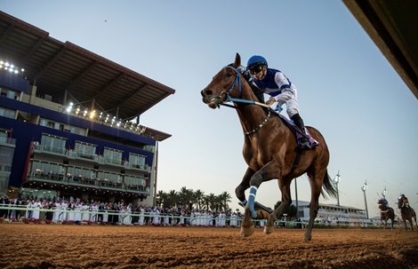 Mike Smith wins the 3rd leg of the International Jockeys Challenge on Paris<br><br />
King Abdulaziz racetrack, Riyadh 28.2.20