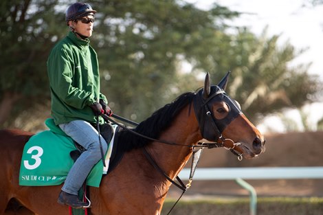 Chrysoberyl - King Abdulaziz Racetrack, Riyadh - February 26, 2020