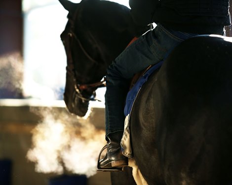 Scenics - Oaklawn Park - 020120 