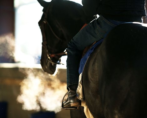 Scenery - Oaklawn Park - 0201220 