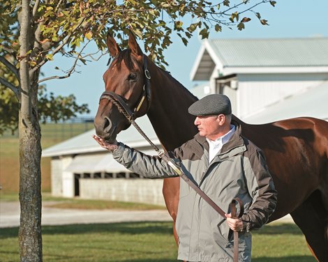 Beholder and trainer Richard Mandella at Keeneland Oct. 21.