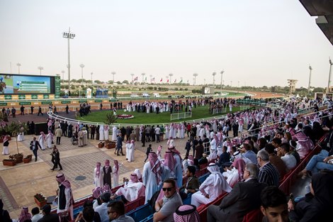 2020 Saudi Cup Day Scene
