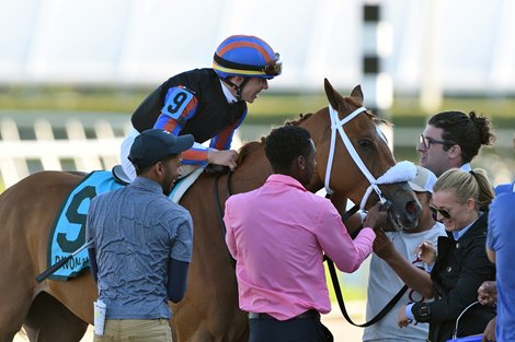 Tonalist&#39;s Shape wins the 2020 Davona Dale Stakes at Gulfstream Park