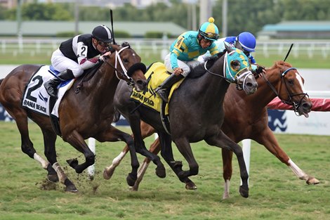 Field Pass wins the 2020 Dania Beach at Gulfstream Park                             
