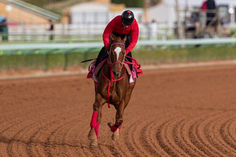 Matera Sky - Morning - King Abdulaziz Racetrack - 022520