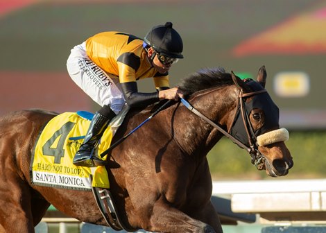 Hard Not to Love and jockey Mike Smith win the Grade II, $200,000 Santa Monica Stakes, Saturday, February 15, 2020 at Santa Anita Park, Arcadia CA.<br><br />
&#169; BENOIT PHOTO