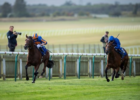 New World Tapestry (Ryan Moore) outruns Colour Image in a seven-furlong maiden at Newmarket 27.9.19