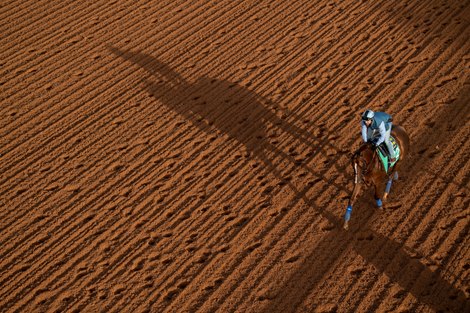 Saudi Cup contender Mucho Gusto exercises at King Abdulaziz racecourse in Riyadh 27.2.20