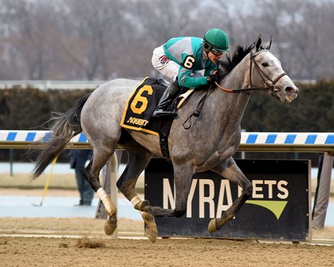 Harvey&#39;s Lil Goil wins 2020 Busanda Stakes at Aqueduct