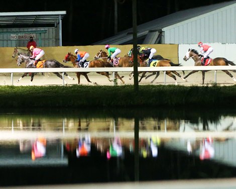 Scenics - Delta Downs - 022220