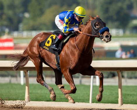 Charlatan wins 2020 Maiden at Santa Anita Park