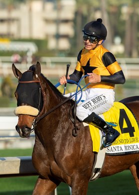 Jockey Mike Smith guides Hard Not to Love to the winner&#39;s circle after their victory in their Grade II, $200,000 Santa Monica Stakes, Saturday, February 15, 2020 at Santa Anita Park, Arcadia CA.<br><br />
&#169; BENOIT PHOTO