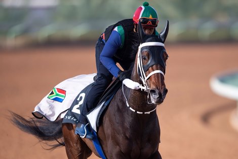 Bella Fever - King Abdulaziz Racetrack, Riyadh - February 27, 2020