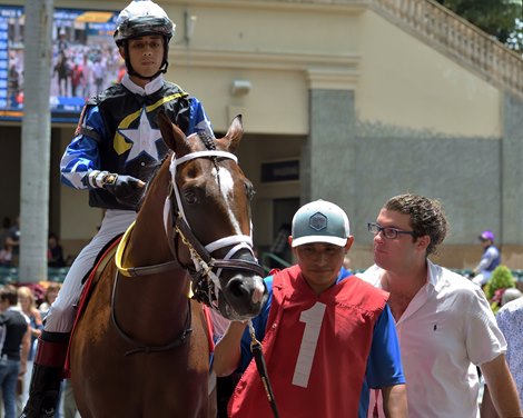 Chance It wins 2019 FTBOA Florida Sire Dr. Fager Stakes at Gulfstream Park